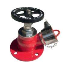 Protecto Fire Stainless Steel Oblique Flanged Hydrant Valves_0