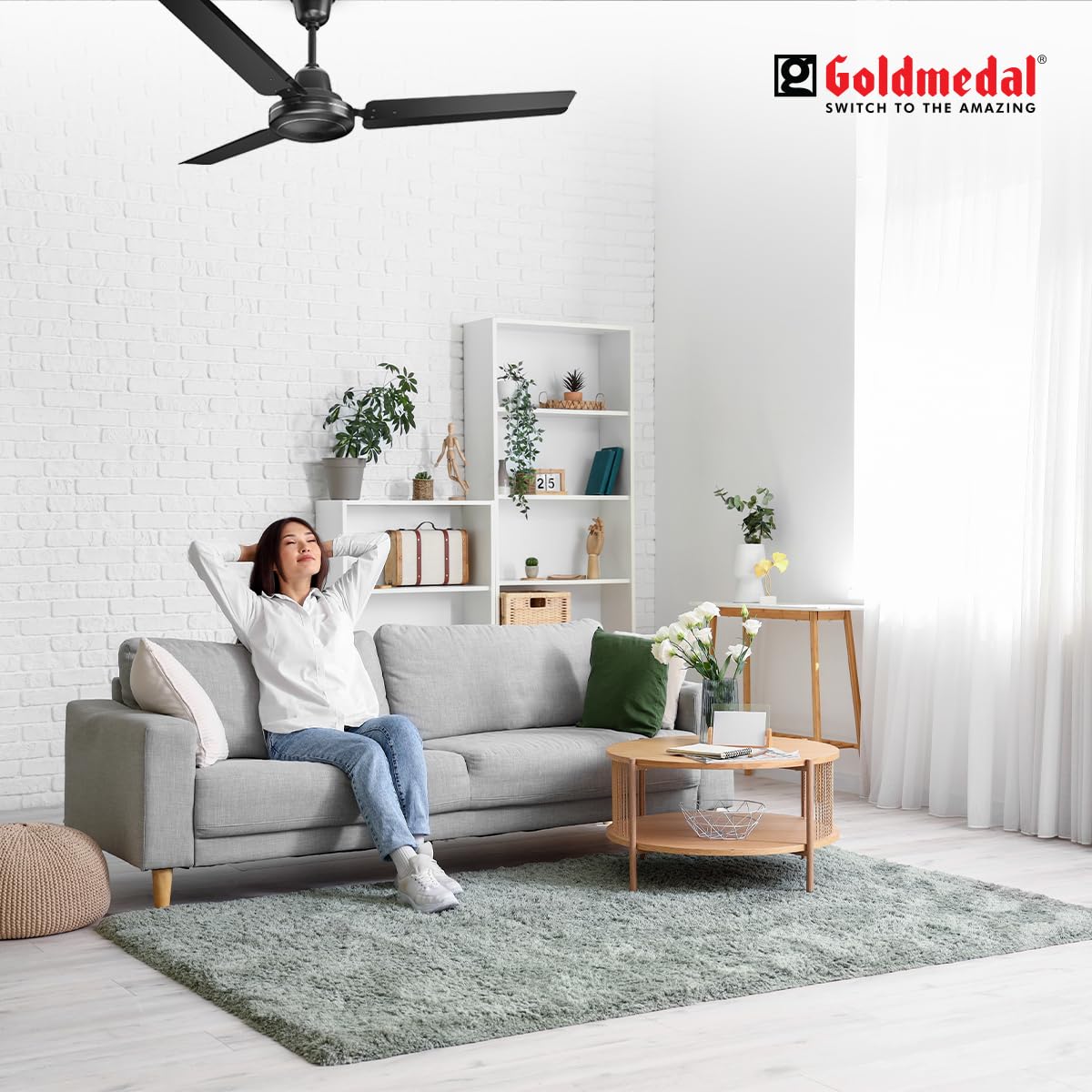 Goldmedal Geo Fox BLDC 1200 mm 3 Blades 35 W Black Ceiling Fans_2