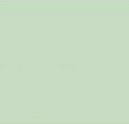 NEROLAC Peppermint Interior Emulsion Paints 1 L_1
