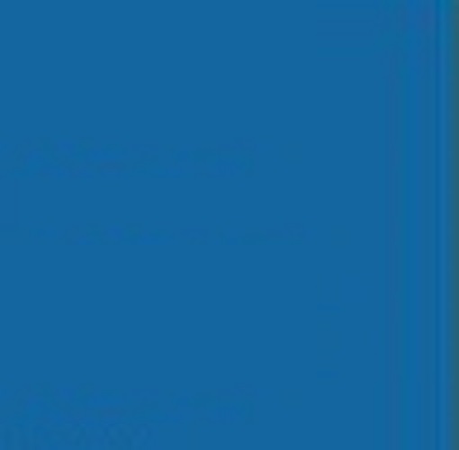 NEROLAC Blue Dame Interior Emulsion Paints 1 L_1