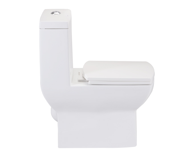 CERA EWC with Seat Cover and Flush CLAYTON Floor_1