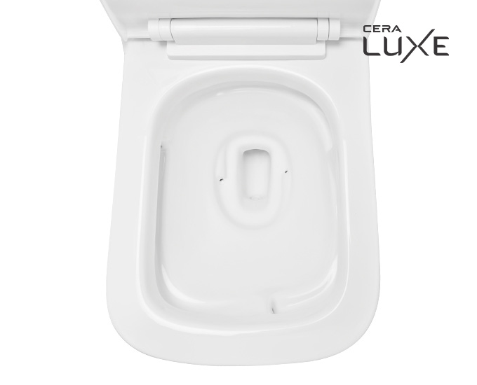 CERA EWC with Seat Cover and Flush CEREMONY 5D Floor_2