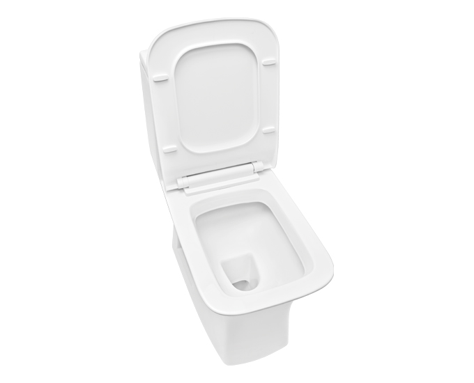 CERA EWC with Seat Cover and Flush CAPTOR Floor_1