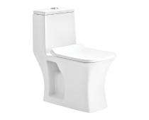 CERA EWC with Seat Cover and Flush CAPTOR Floor_0