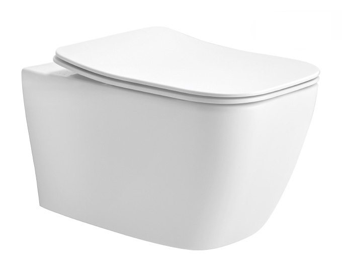 CERA EWC with Seat Cover and Flush CARLTON DUROPLAST SEAT COVER Wall Hung_1