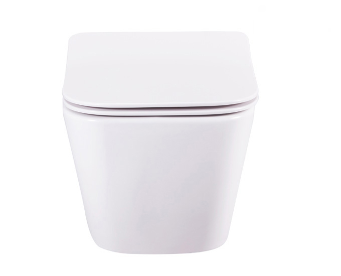 CERA EWC with Seat Cover and Flush CARLTON DUROPLAST SEAT COVER Wall Hung_2