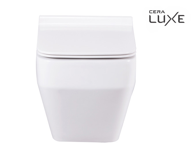 CERA EWC with Seat Cover and Flush CARTIER Wall Hung_2