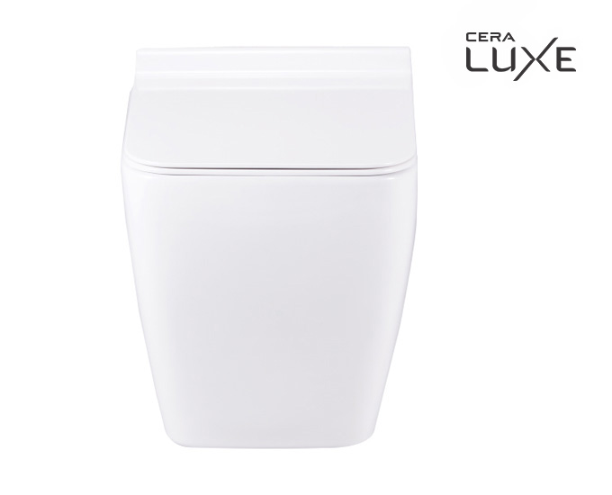 CERA EWC with Seat Cover and Flush CUTINA Wall Hung_2