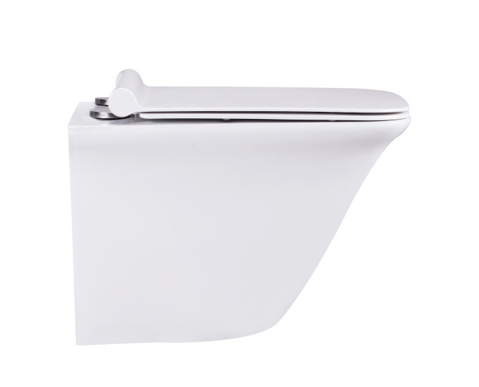 CERA EWC with Seat Cover and Flush COSMIC Wall Hung_1