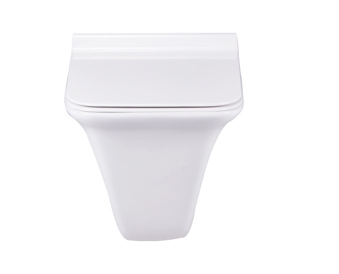 CERA EWC with Seat Cover and Flush COSMIC Wall Hung_2