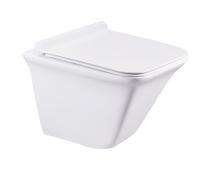 CERA EWC with Seat Cover and Flush COSMIC Wall Hung_0