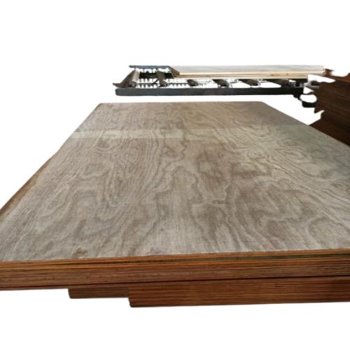 ELGEN 6 mm Waterproof and Anti-Termite Plywood 06 x 2440 x 1220 mm IS:303_1