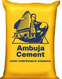 Ambuja Cement PPC Cement 50 kg_0