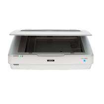 EPSON 13000 XL Flat Bed Scanner_0