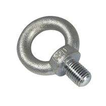 Generic Mild Steel 10 mm Eye Bolts 100 mm_0