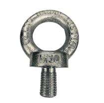 Damar Mild Steel M30 Eye Bolts 20 mm_0