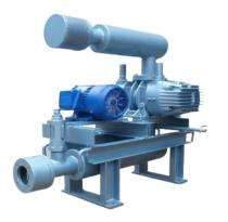 SAE Twin Lobe 1 Root Blower 1 bar 600 m3/h_0