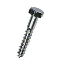 Generic Coach Screw 16 mm SS 304_0