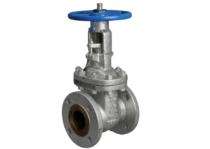 Generic Manual CS Gate Valves 100 mm 150 psi_0