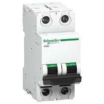 Schneider Electric A9N2P16C Double Pole 25 A C Curve MCB_0