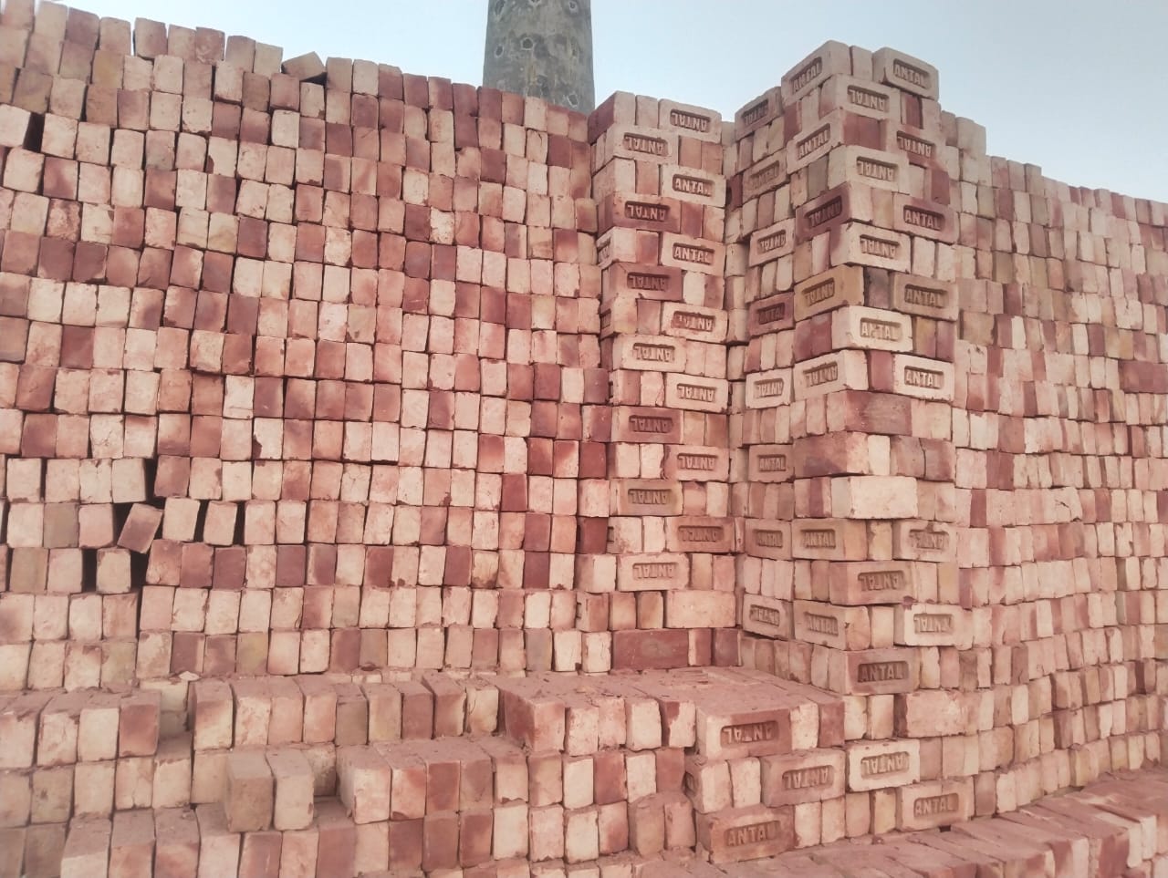 LAXMI Clay Cuboid Red Bricks 228 x 101 x 77 mm_2