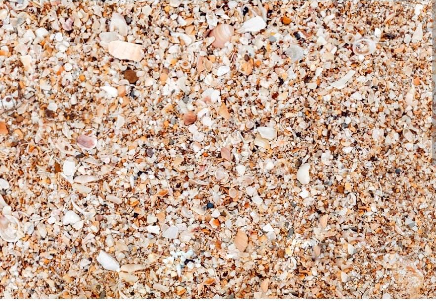 Yamuna Nagar Zone-II River Sand_1