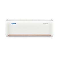 BLUE STAR 1 ton Inverter IC512ONU 5 Star White Room Air Conditioner_0