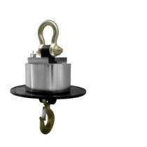 Accumax 5 ton Crane Scale Digital 10 kg WCRN5T10_0