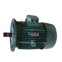 Unicorn Engineers 0.25 hp Vertical Gear Motor 400 Nm_0