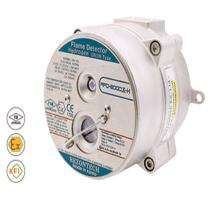 REZONTECH UV/IR and  HYDROGEN Fire Detectors RFD-2000X-H -40 to +75 deg C_0
