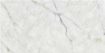 Stylem Glossy 600 x 1200 mm Alice Onyx Bianco Glossy Ceramic Tile_0
