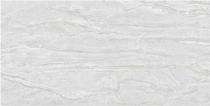 Stylem Glossy 600 x 1200 mm Classic Dyna Grey Glossy Ceramic Tile_0
