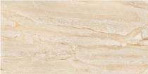 Stylem Glossy 600 x 1200 mm Dyna Natural Glossy Ceramic Tile_0