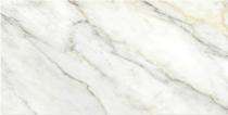 Stylem Glossy 600 x 1200 mm Elegant White Glossy Ceramic Tile_0