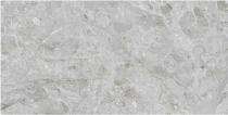 Stylem Glossy 600 x 1200 mm Lucca Grey Glossy Ceramic Tile_0
