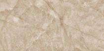 Stylem Glossy 600 x 1200 mm Orayon Brown Glossy Ceramic Tile_0