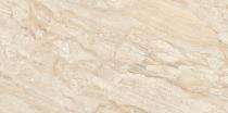 Stylem Glossy 600 x 1200 mm Royal Dyna Brown Glossy Ceramic Tile_0