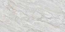 Stylem Glossy 600 x 1200 mm Royal Dyna Grey Glossy Ceramic Tile_0