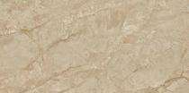 Stylem Glossy 600 x 1200 mm Vecchio Brown Glossy Ceramic Tile_0