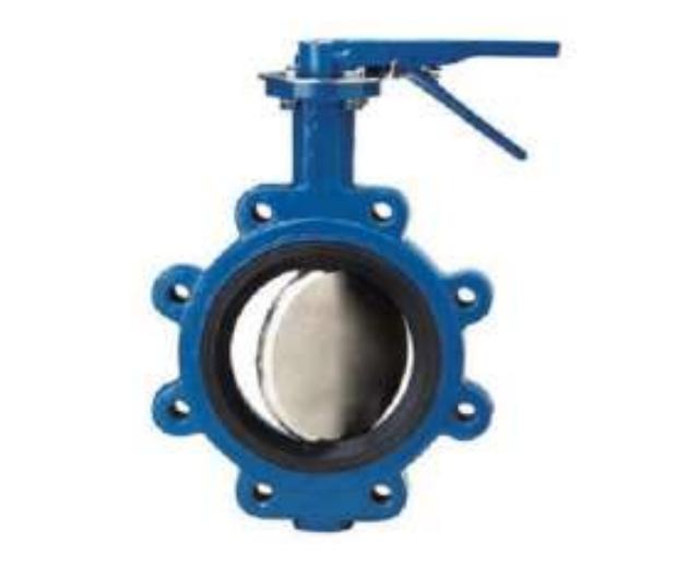 Ped-Lock 80 mm Manually Operated SS Butterfly Valves PN 10_1