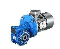 MOTOVARIO 18.5 kW Worm Gear Motor 630 Nm_0