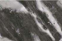 Stylem Exclusive 300 x 450 mm 3482-D - Grey and White Glossy Ceramic Tile_0