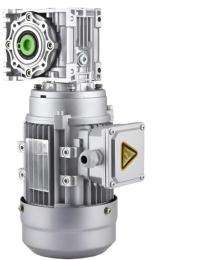 Power Gear 0.75 kW Worm Gear Motor 100 Nm_0