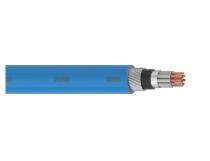 Polycab 2 Core Copper 1 sqmm PVC Insulated GS Wire Armour FRLS PVC Shielded Instrumentation Cable 300 V Blue_0
