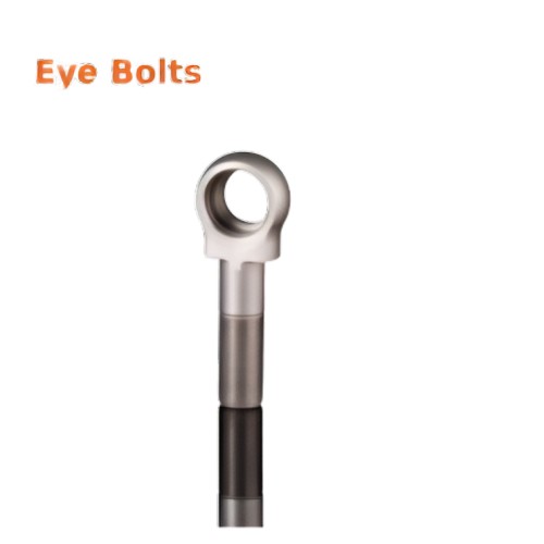 UE Steel 8 - 25 mm Eye Bolts 200 mm_1