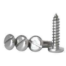 PGS Round M4 6.5 mm Self Tapping Screws Stainless Steel Polished_0
