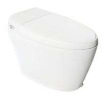 Hindware EWC with Seat Cover and Flush Automate 92522 (S-30) Floor Mounted_0