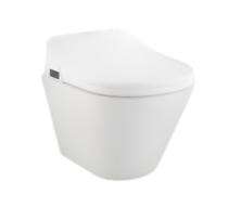 Hindware EWC with Seat Cover and Flush E-Clenz 92592 (P-22.5) Wall Mounted_0