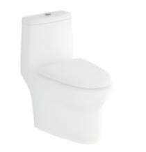 Hindware EWC with Seat Cover and Flush Pearl 92576 (S-22) Floor Mounted_0