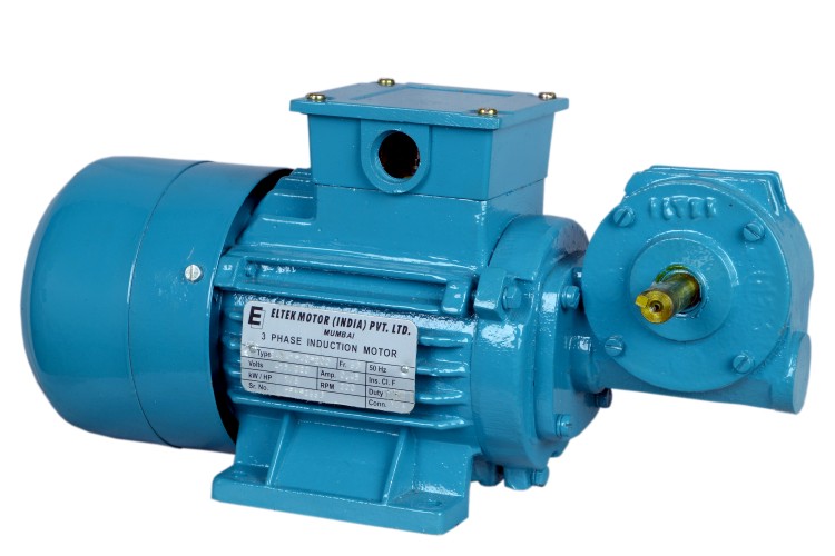 ELTEK 0.1 hp Worm Gear Motor 3.8 Nm_1